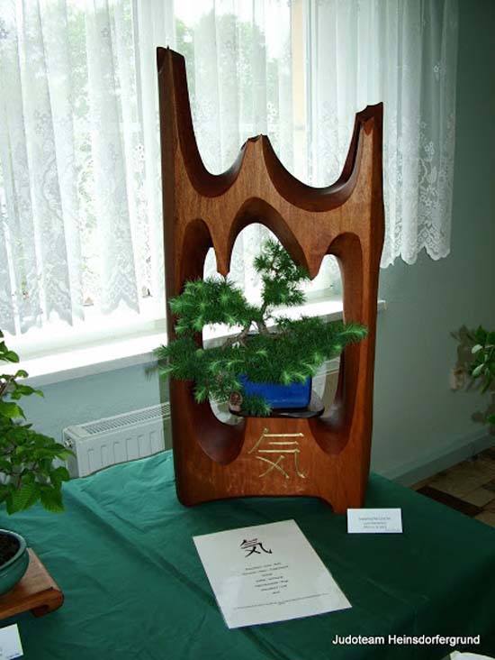 Bonsai in einem Holzkreis
