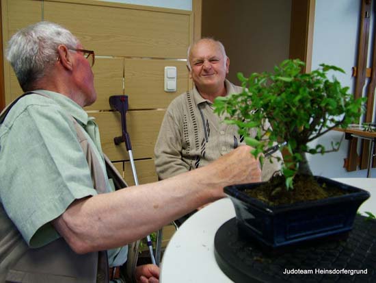 2 Männer lächeln sich an, neben einem Bonsai