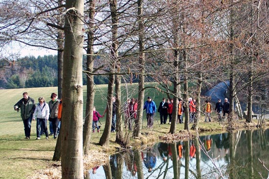 Wanderer laufen auf einem Wanderweg neben Bäumen, die an der Seite des Sees wachsen