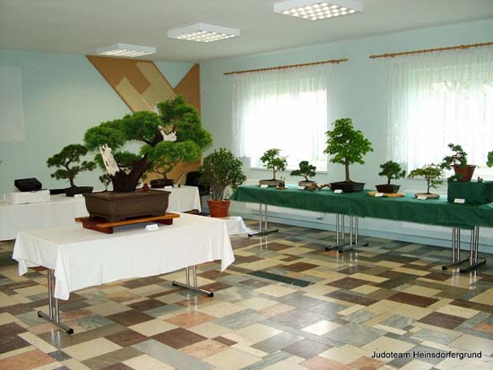 Tische mit grüner und weißerTischdecke, mit vielen Bonsais darauf