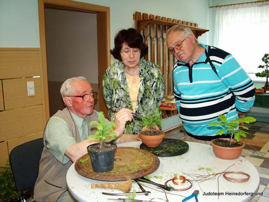 Mann und Frau schauen einem Mann zu, wie er einen Bonsai pflegt