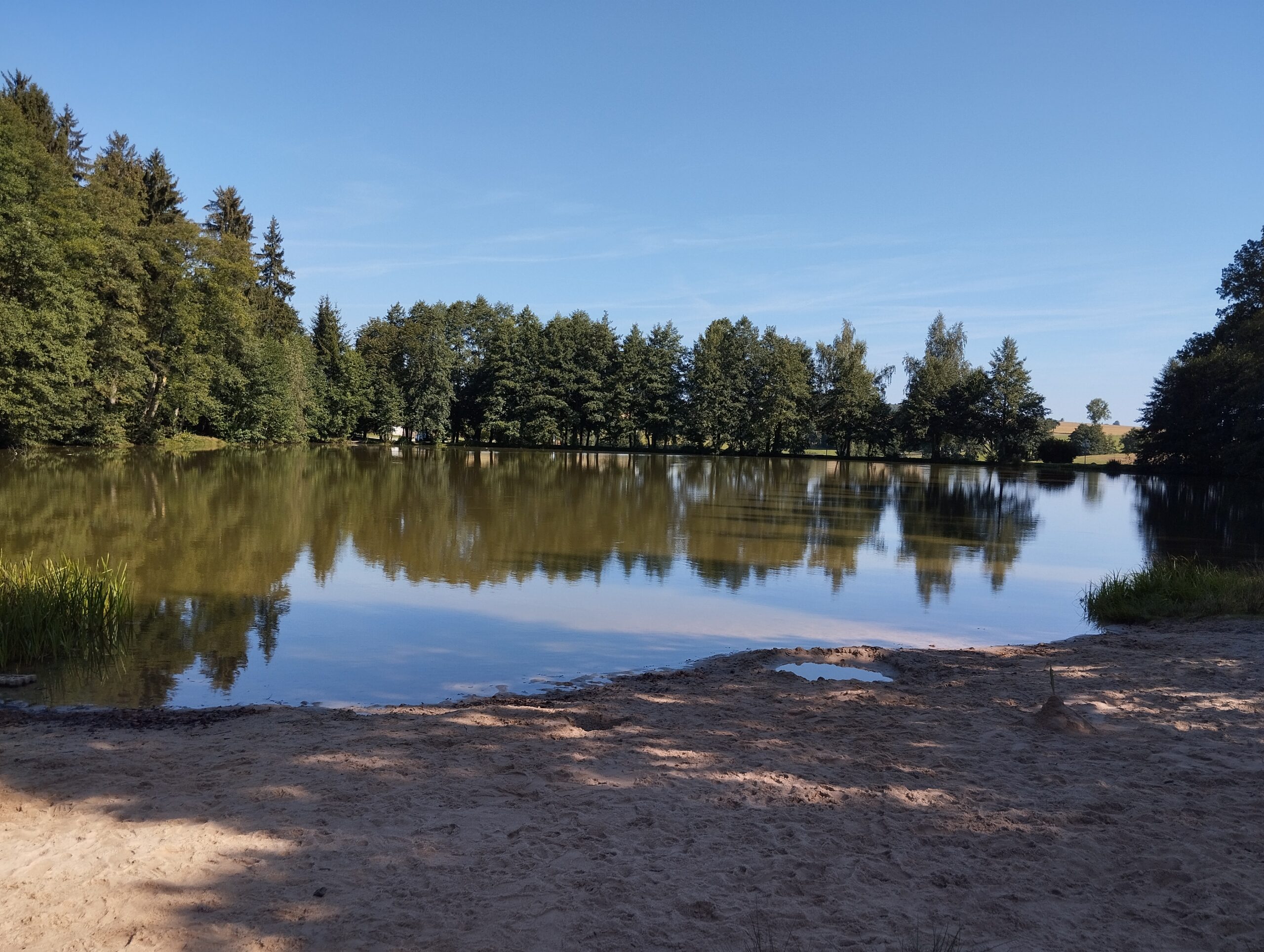 Blick auf den Mühlenteich im Frühjahr mit Bäumen drum herum