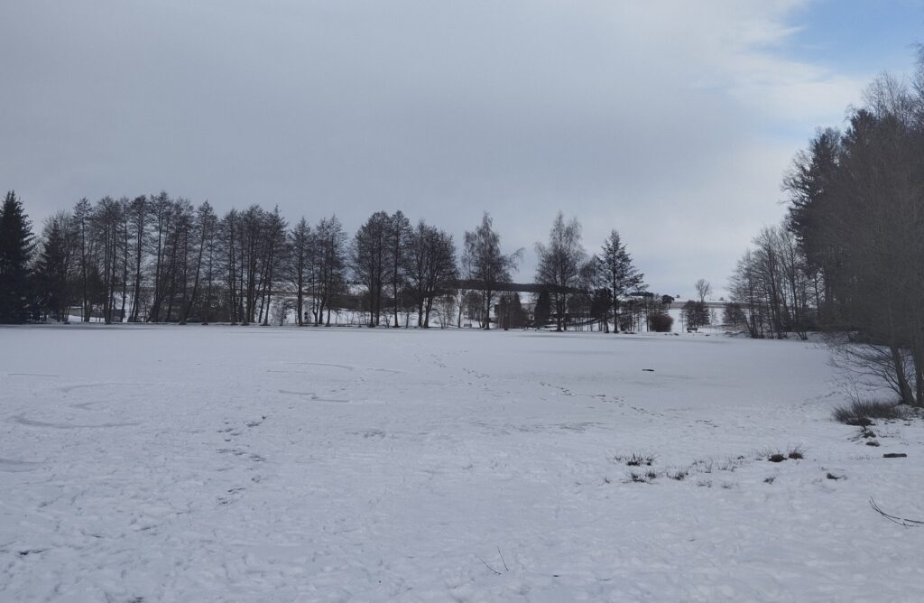 Blick auf den Mühlenteich im Winter mit zugefrorenen Wasser