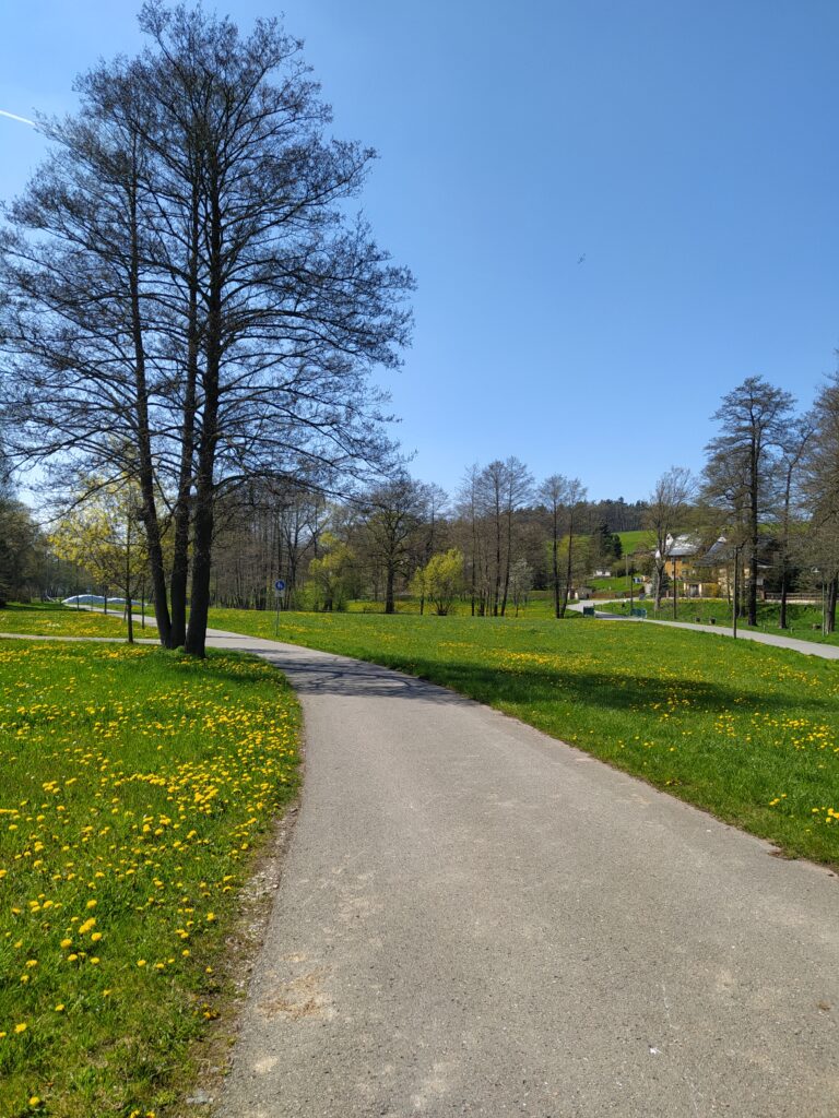 Bild eines Radweges in der Natur