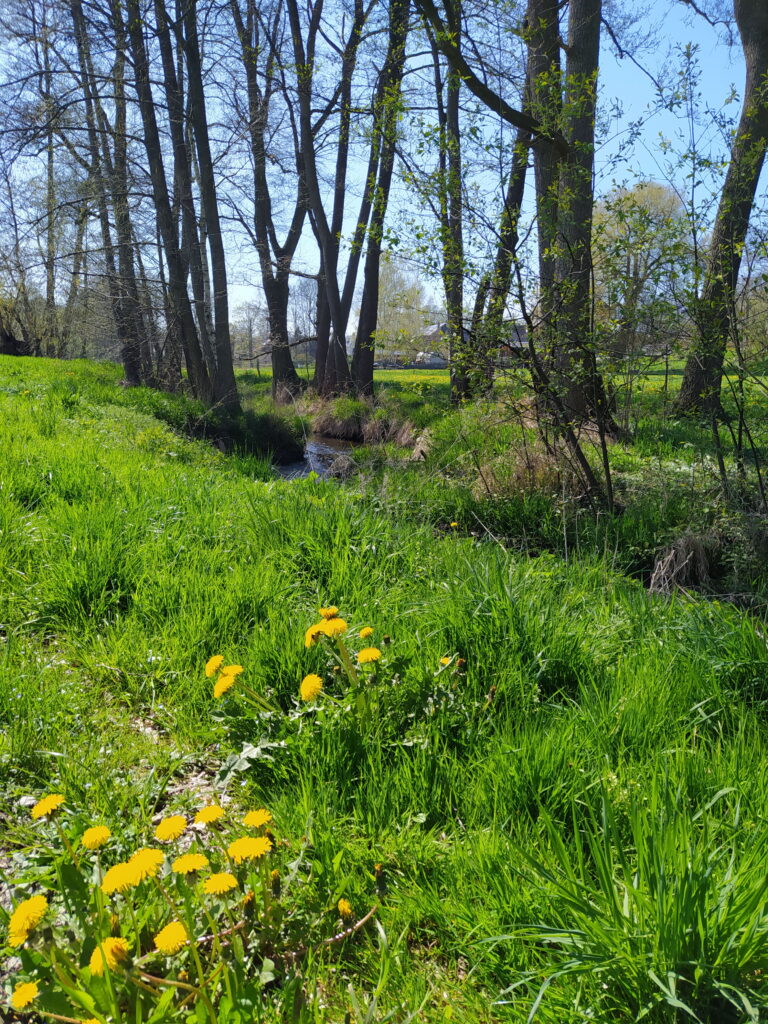 Fluss entlang eines Radweges