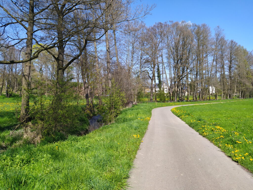 Bild eines Radweges in der Natur