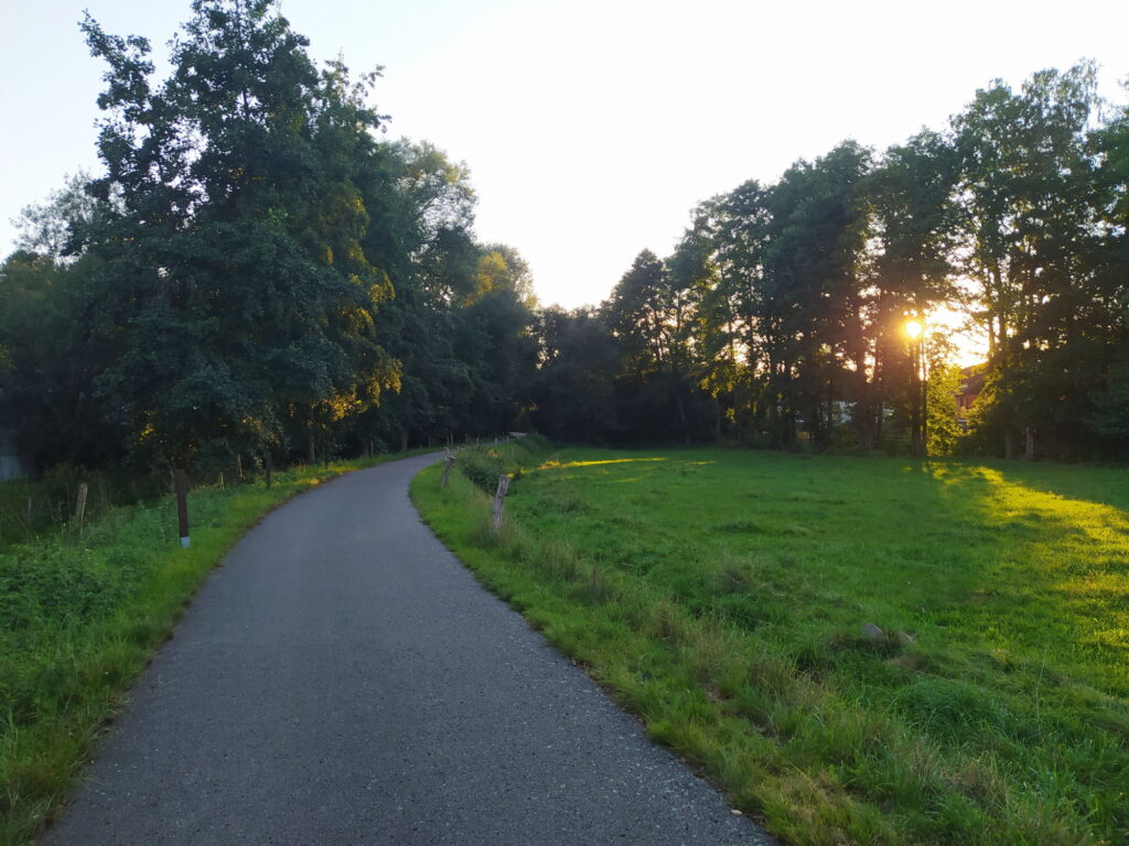 Bild eines Radweges in der Natur