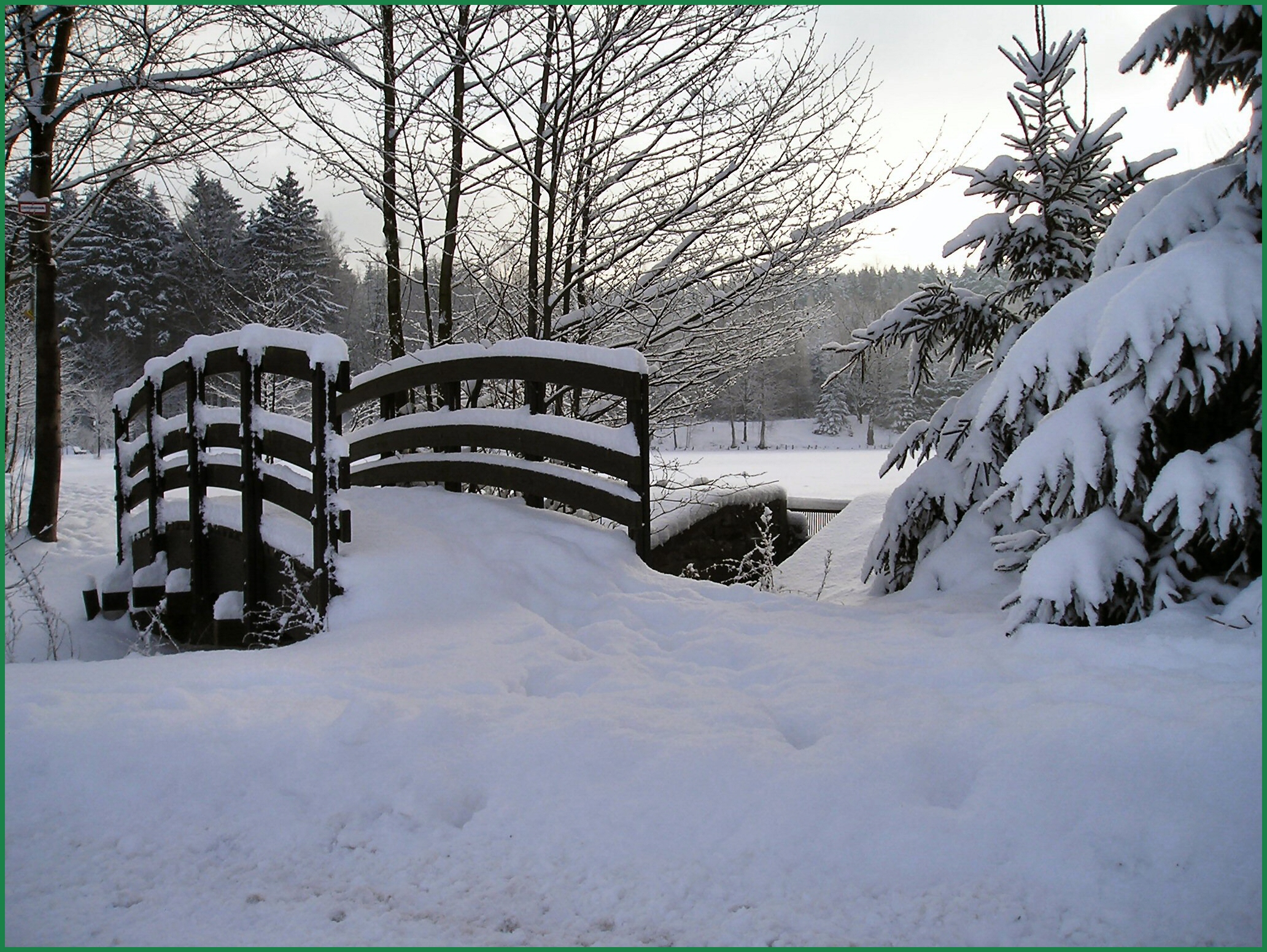Brücke im Wald, wobei alles mit dickem Schnee bedeckt ist