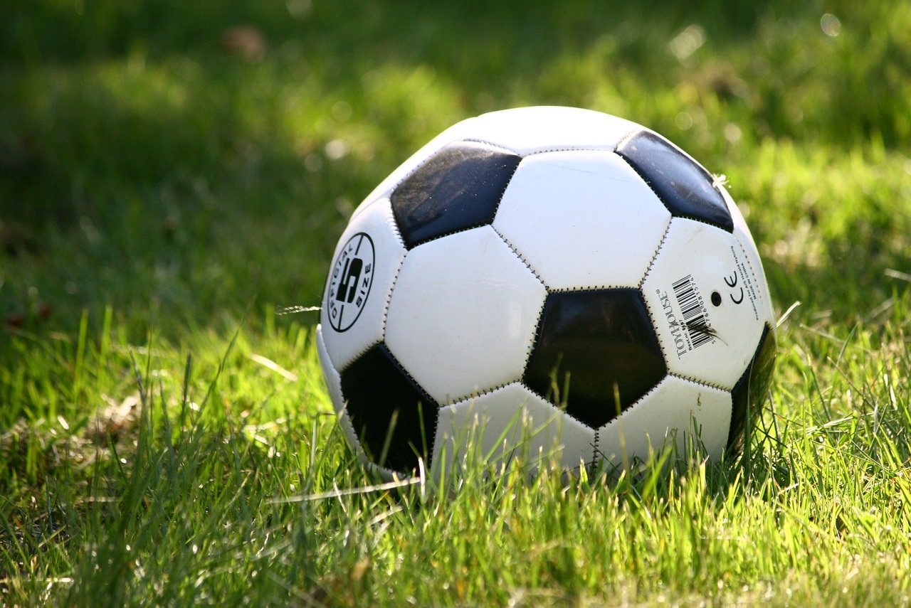 Fußball liegt auf einer Wiese